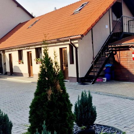 Farkaslaki Panorama Vendeghaz Hotel Lupeni  Luaran gambar